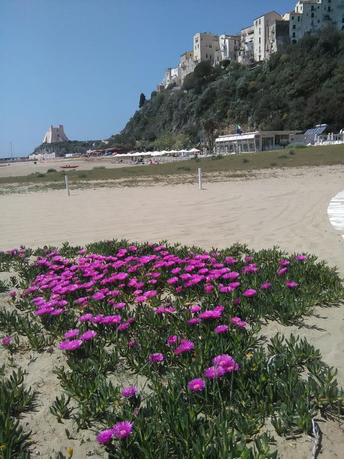 Flat Low Cost Sperlonga Dış mekan fotoğraf